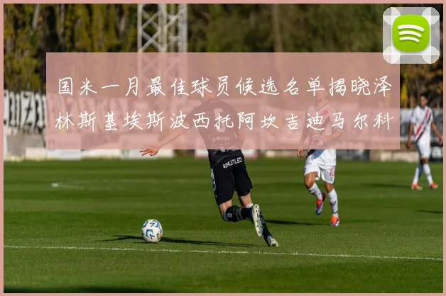 国米一月最佳球员候选名单揭晓泽林斯基埃斯波西托阿坎吉迪马尔科争夺荣誉