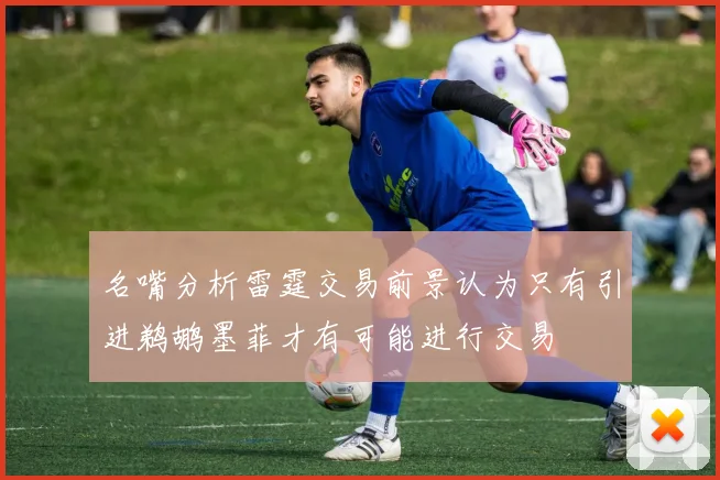 名嘴分析雷霆交易前景认为只有引进鹈鹕墨菲才有可能进行交易
