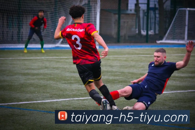 太阳城平台生态图