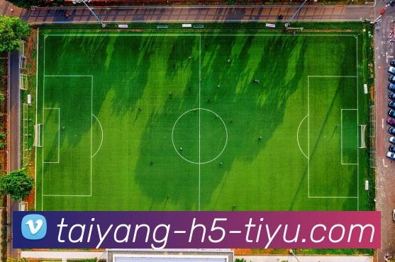 太阳城APP 封面图